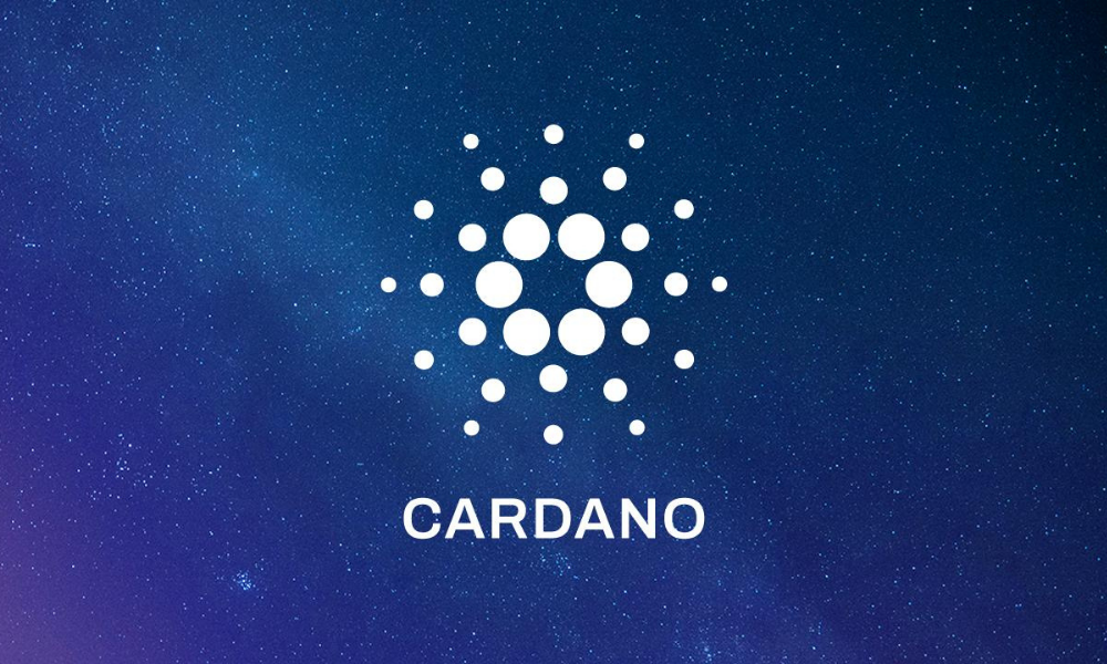 Decentralized Finance on Cardano  - Financespiders